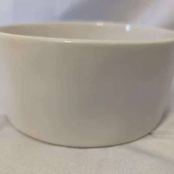 Brand New Rae Dunn 6" Drink Pet Bowl - Picture 3 of 4